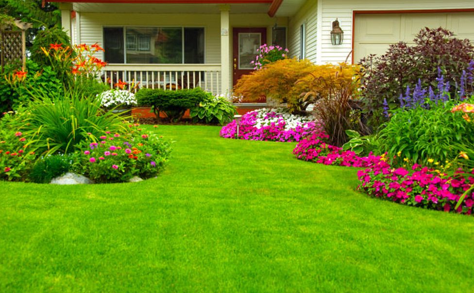 Choosing the Right Plants for Your Commercial Landscaping